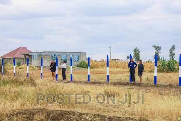 Plots in Murera^JO - main view