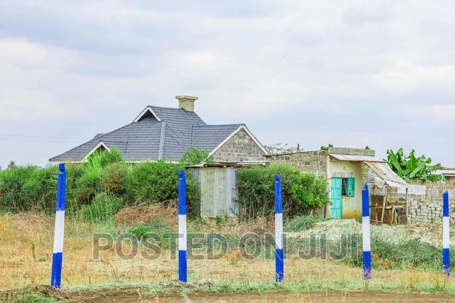 Plots in Murera^JO