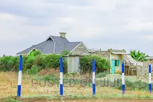 Plots in Murera^JO