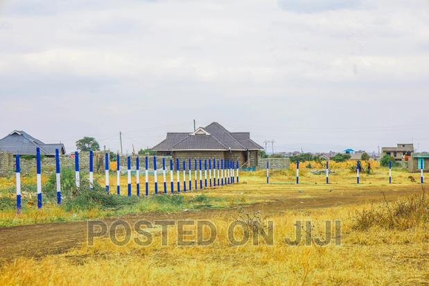 Plots in Murera^JO - thumbnail 4