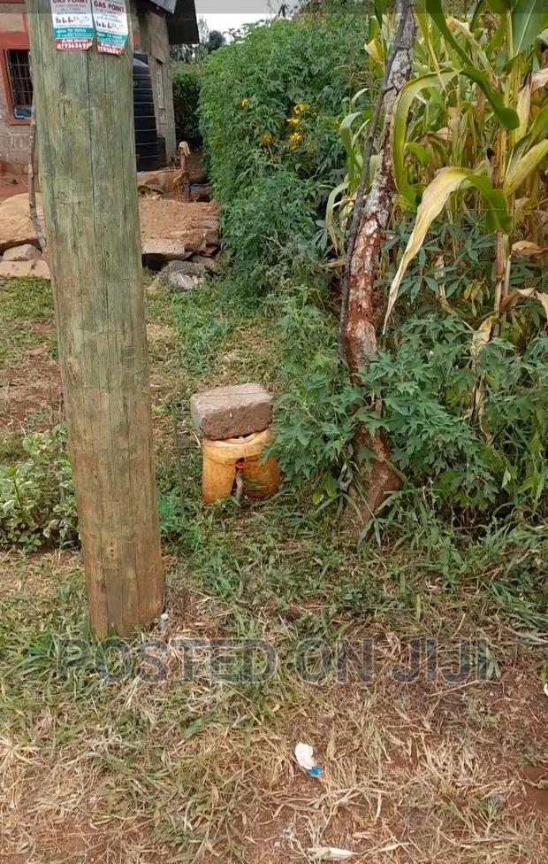 Kenyatta Road Plots- Kimunyu ^JO - thumbnail 4