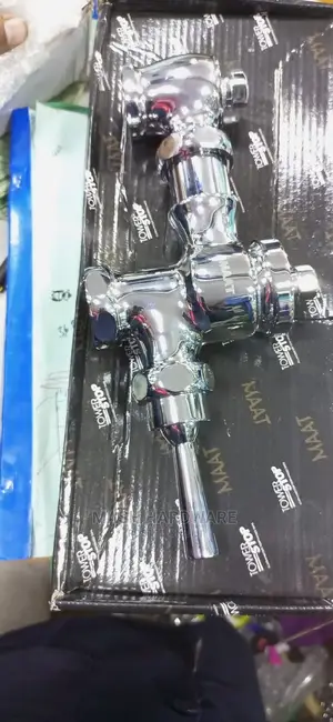 Toilet Flush Valve With Lever