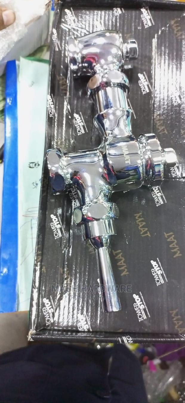 Toilet Flush Valve With Lever