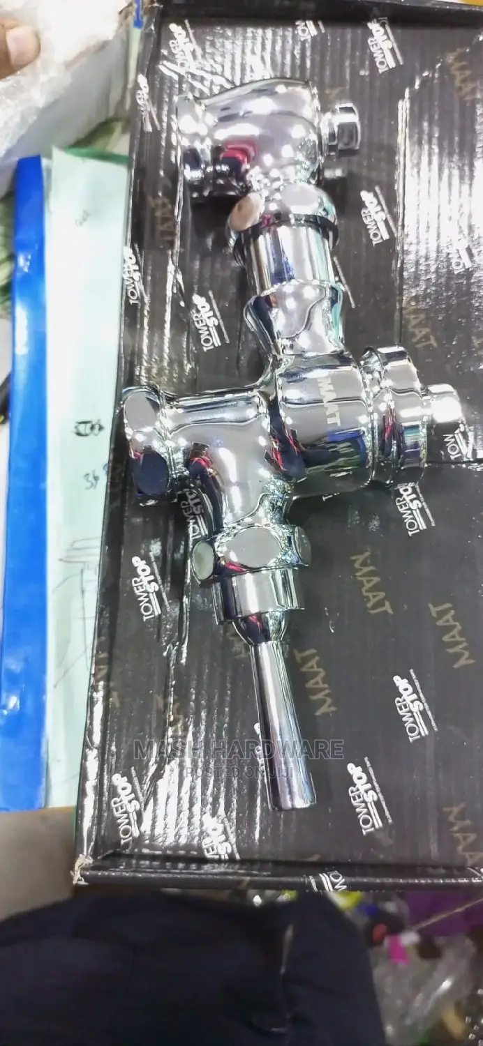 Toilet Flush Valve With Lever