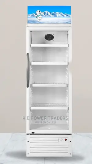 Sleek White 258 Litre Showcase Chiller