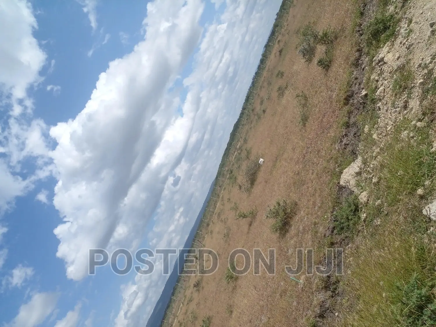 Ready to Build (Kamulu)^Jm