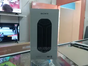 Sony SRS-XE300 Portable Bluetooth Speaker