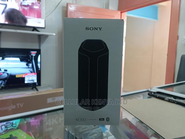 Sony SRS-XE300 Portable Bluetooth Speaker - thumbnail 3
