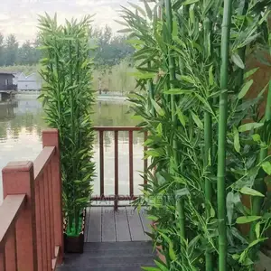 High Quality Potted House Tree