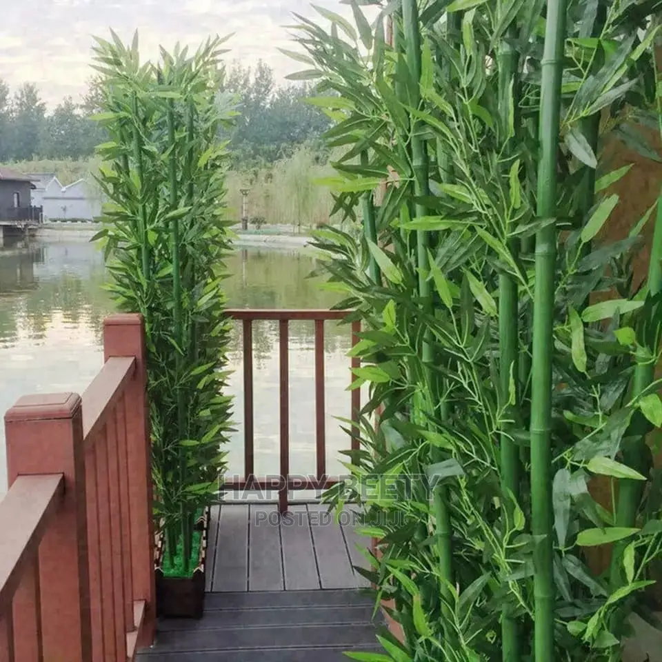High Quality Potted House Tree
