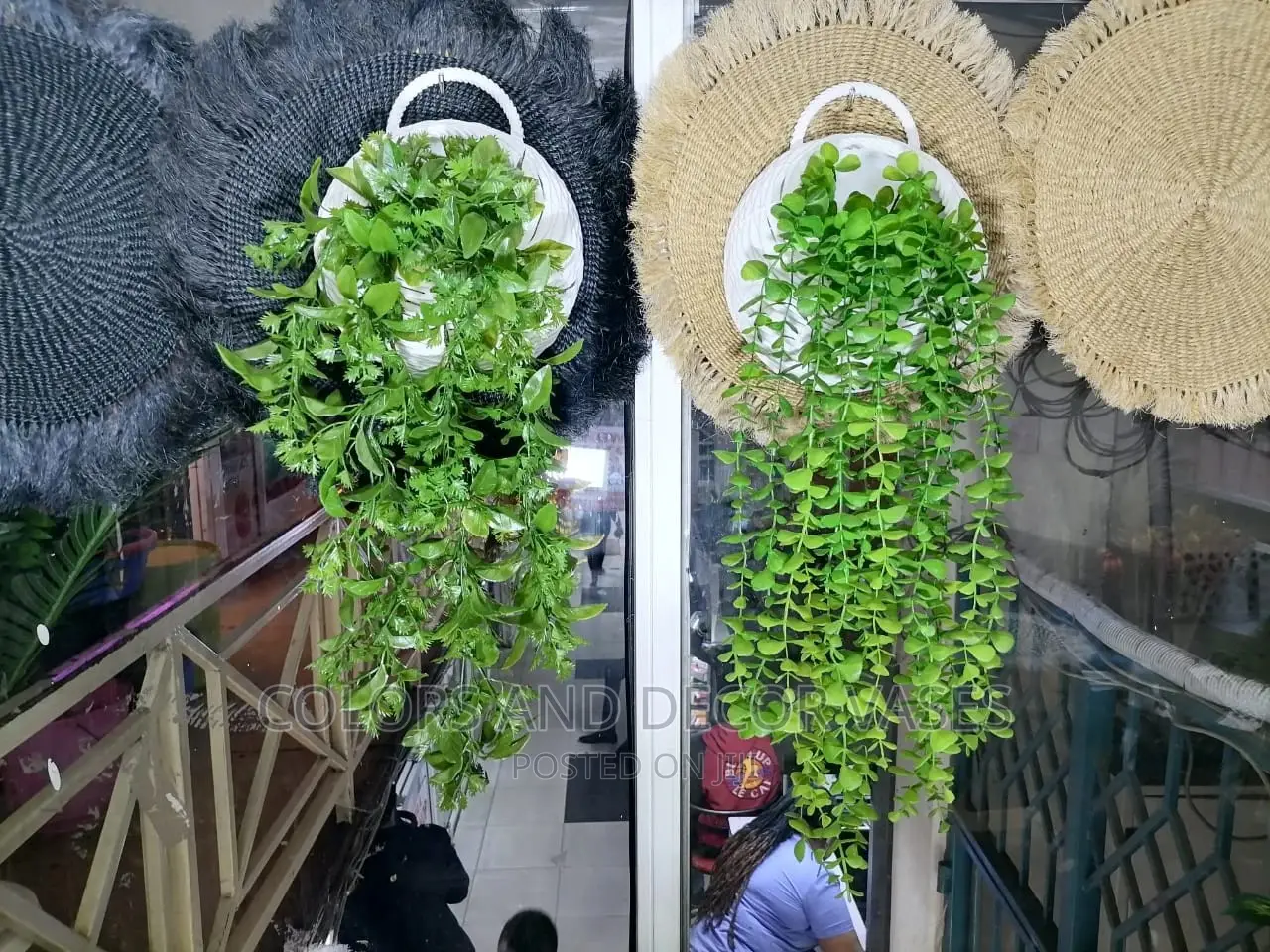 Hanging Plants+ Vase