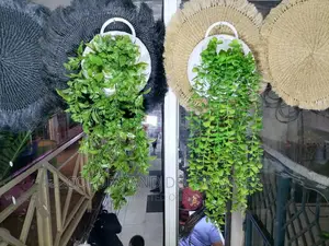 Hanging Plants+ Vase