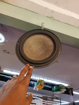 6 Inch Subwoofer Bass Speaker