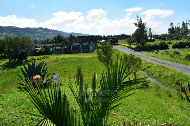 Prime Property With Clean Title - thumbnail 3