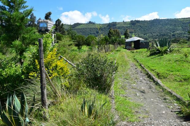 Prime Property With Clean Title - thumbnail 12