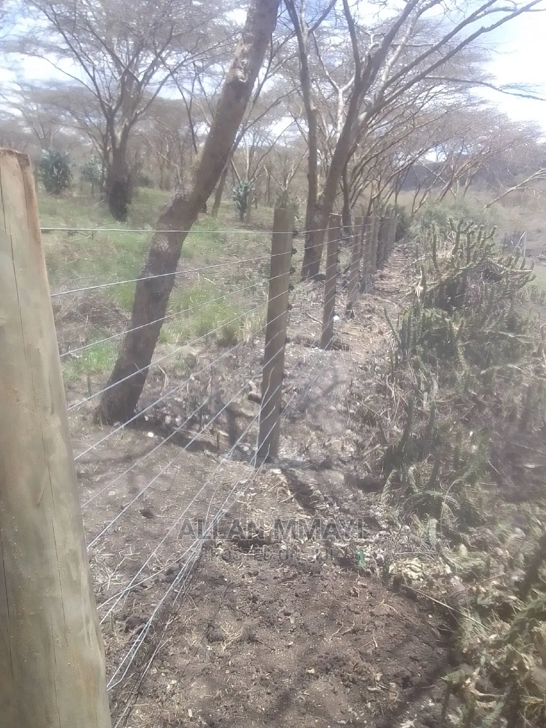 Electric Fence/Solar Lights