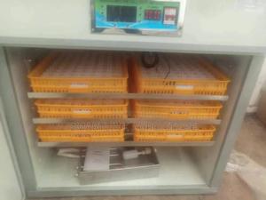 528 Automatic Hatching Incubator - main view