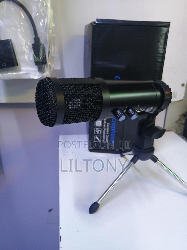 Usb Condenser Microphone With Volume, Echo and Mute Button