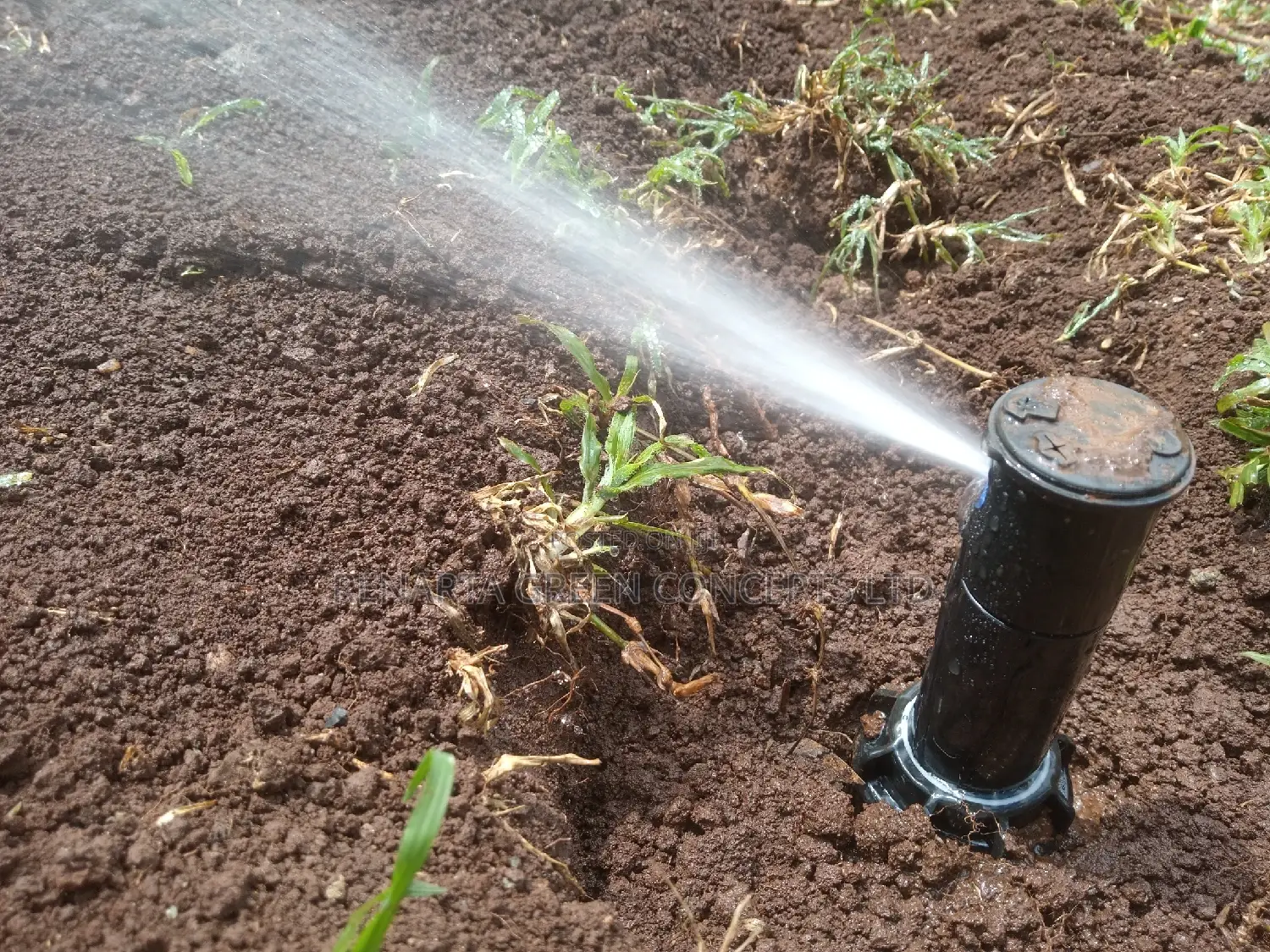 Automatic Pop-up Irrigation System Installation And Repair