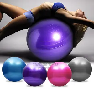 Exercise Ball for Therapy With Pump
