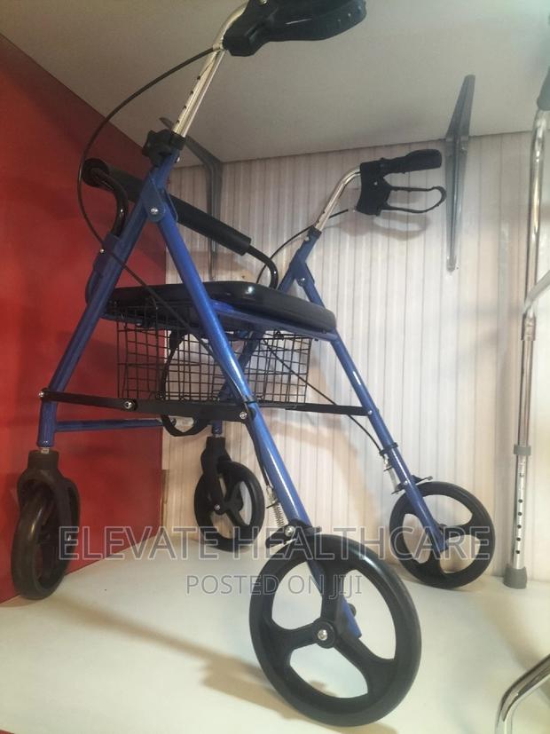 Patient Rollator - main view