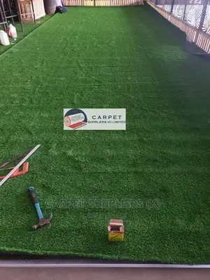 Turf Grass