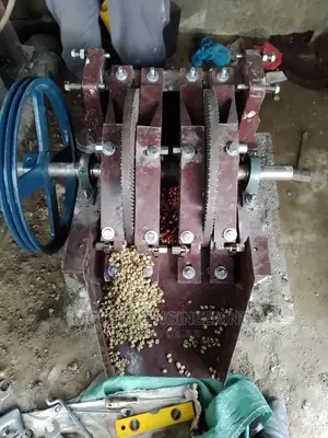 Coffee Complete Plant