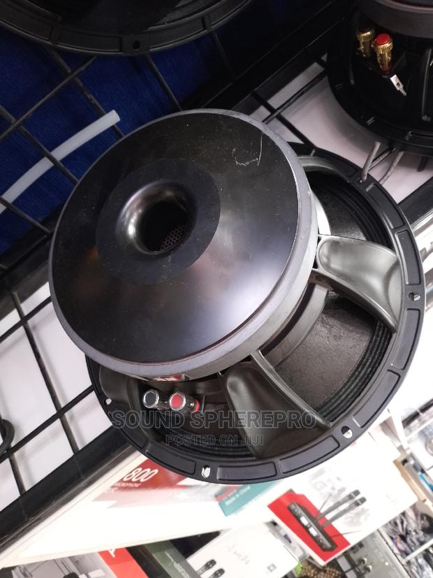 NR 12 AZ-350A 12 Inch Naked Speaker
