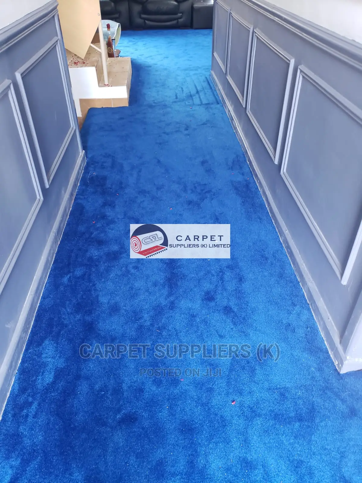 Blue Carpet(Bmd)