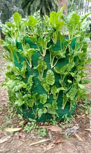 Vertical Bags