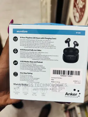 Soundcore R100 Wireless Earbuds