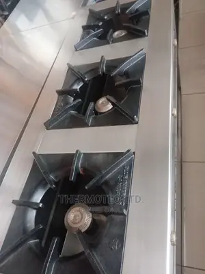 Premium Quality Commercial 3 Burner Cooker