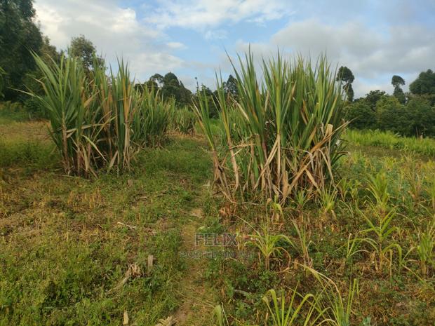 Chaka Mbiriri/2acres - main view