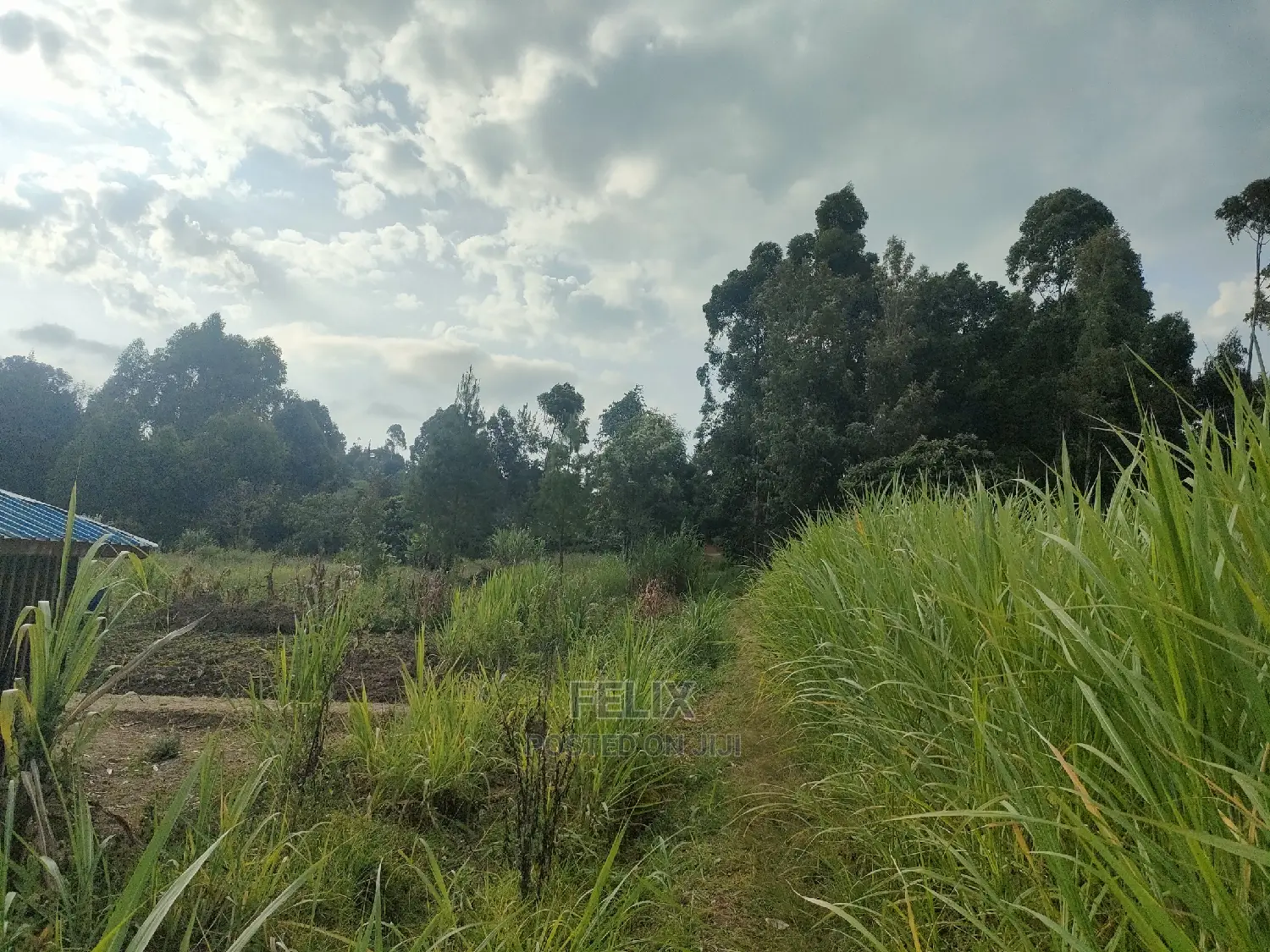 Chaka Mbiriri/2acres