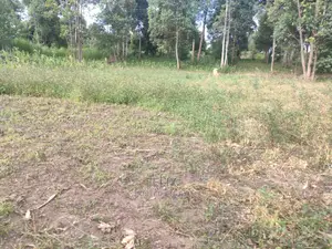 Chaka Mbiriri/2acres