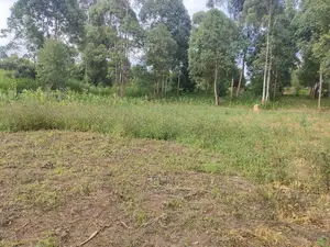 Chaka Mbiriri/2acres