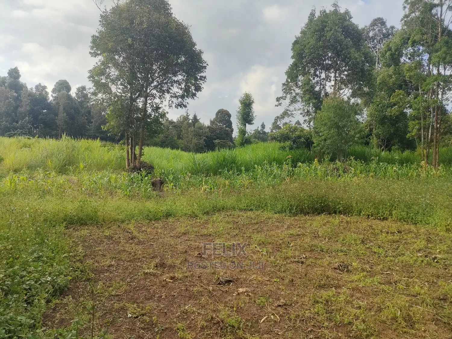 Chaka Mbiriri/2acres