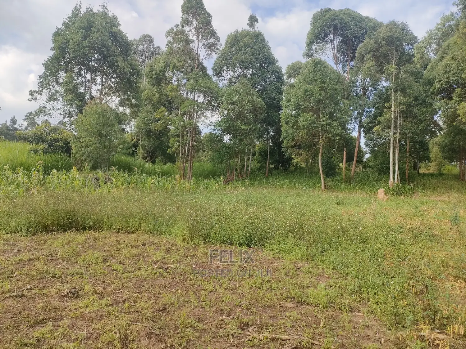 Chaka Mbiriri/2acres