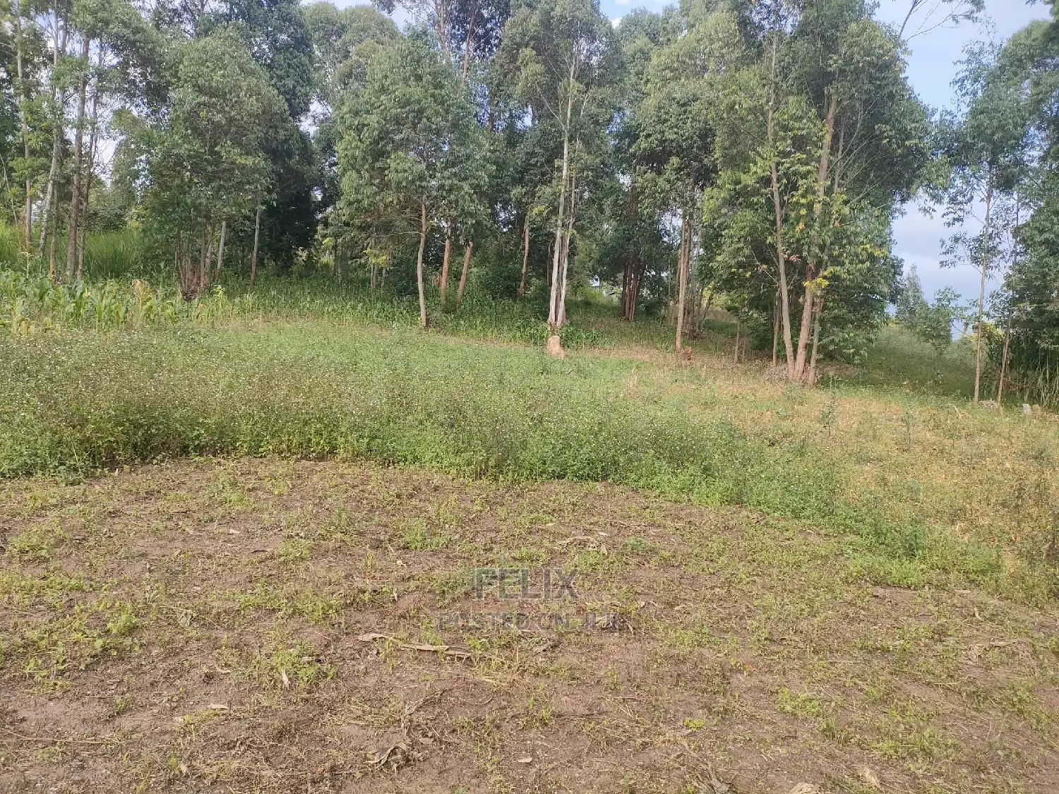 Chaka Mbiriri/2acres