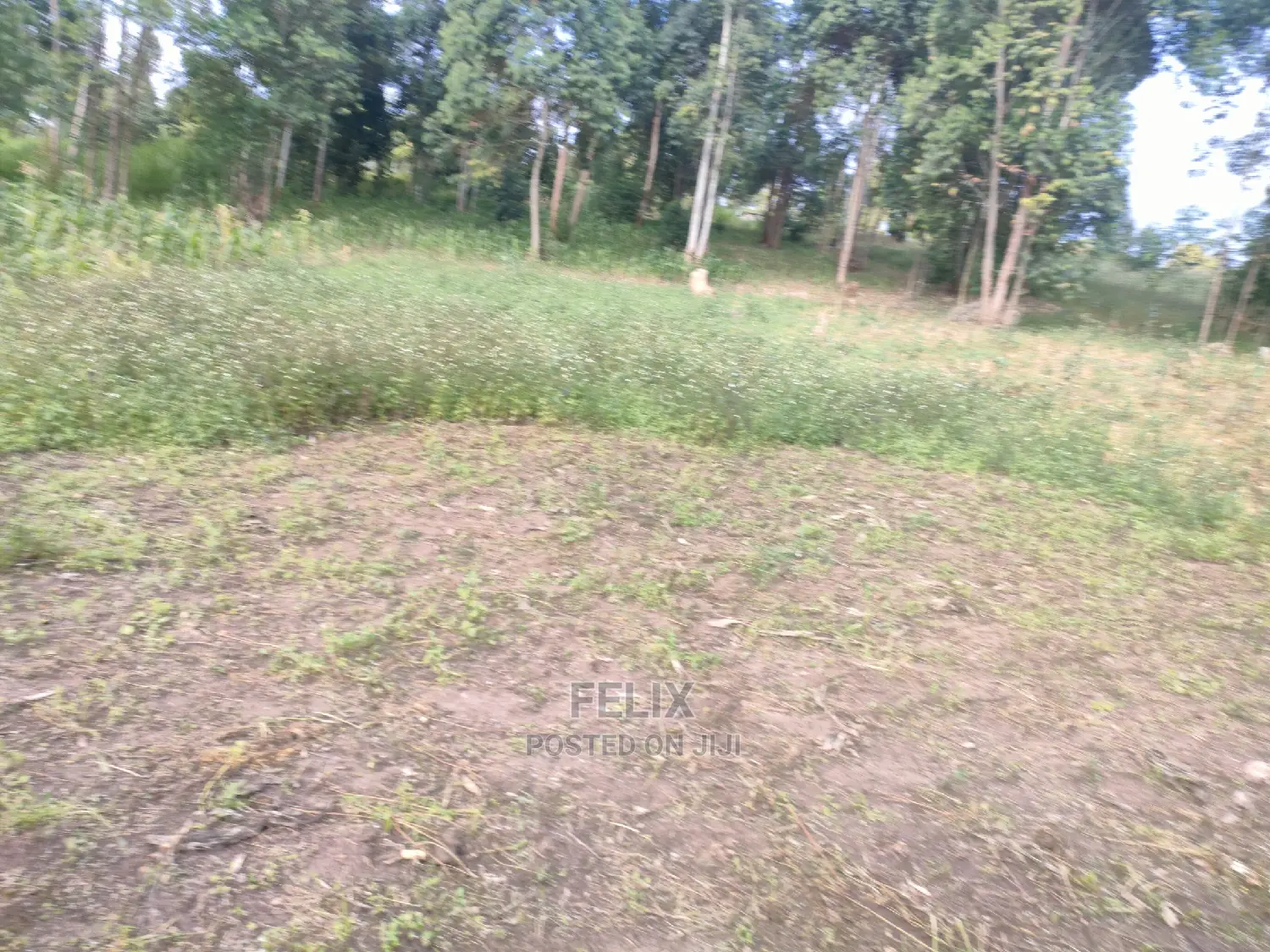 Chaka Mbiriri/2acres