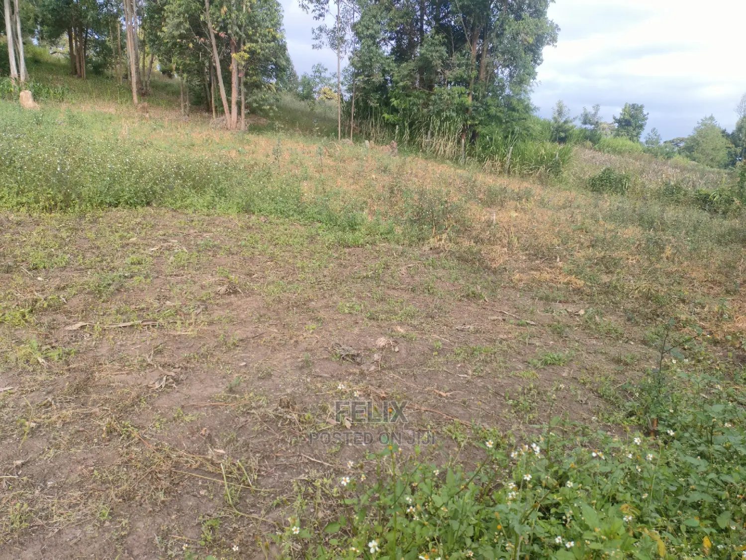 Chaka Mbiriri/2acres
