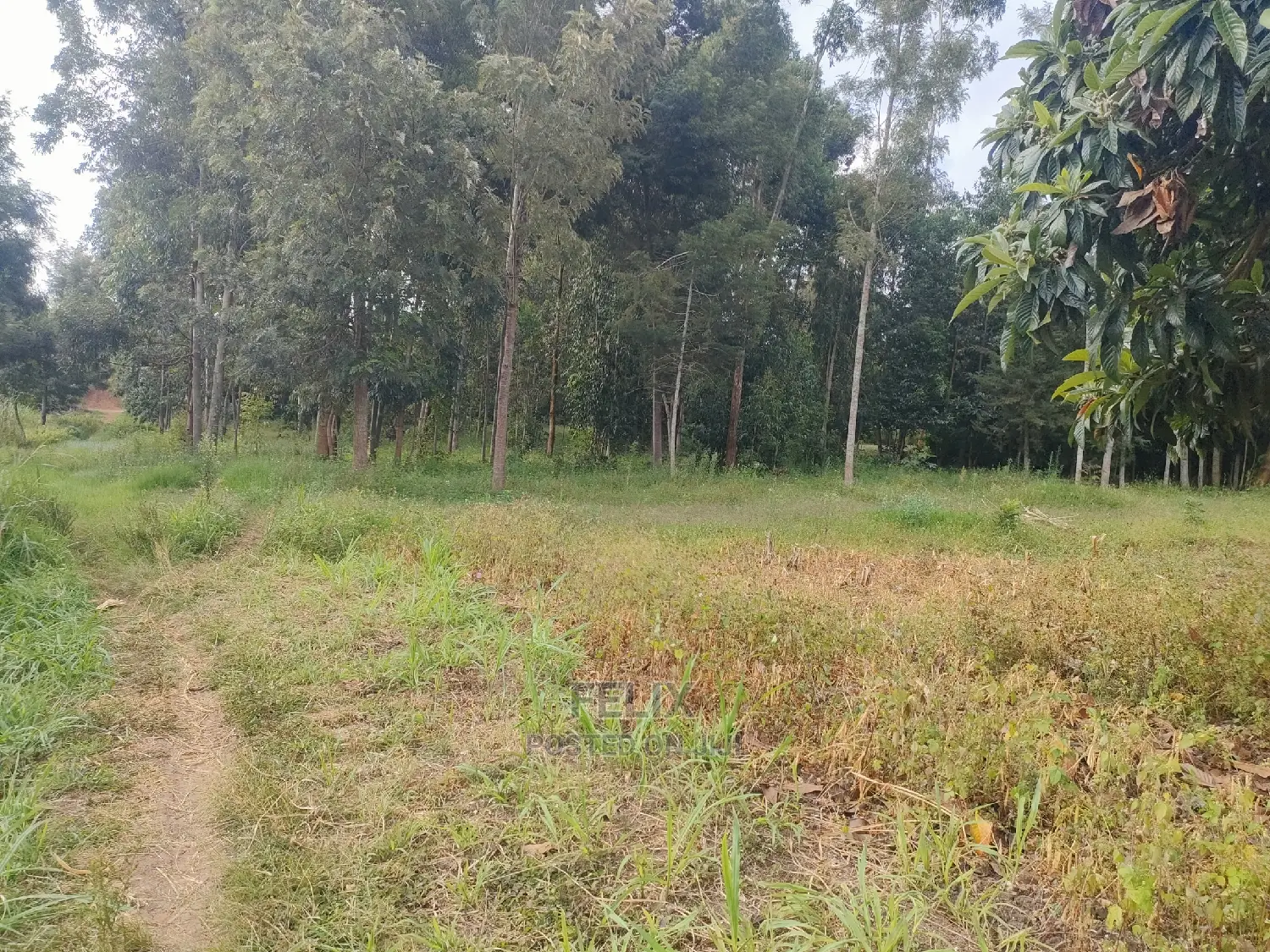 Chaka Mbiriri/2acres