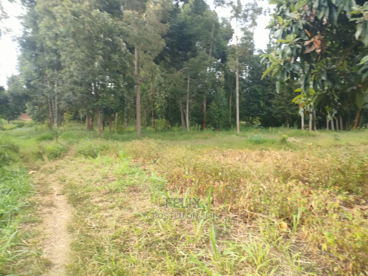 Chaka Mbiriri/2acres