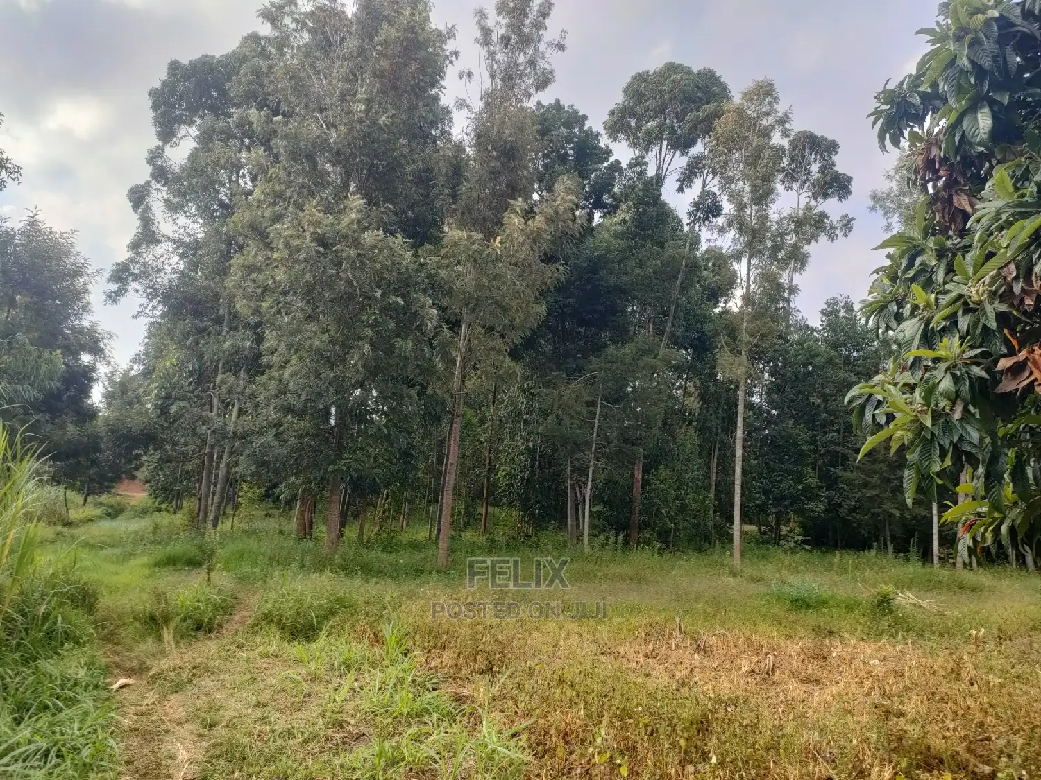 Chaka Mbiriri/2acres