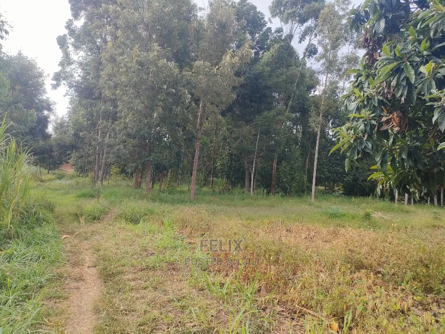 Chaka Mbiriri/2acres