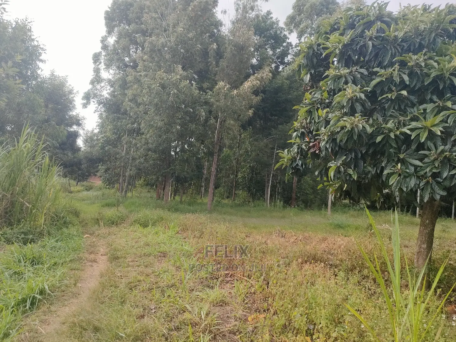 Chaka Mbiriri/2acres
