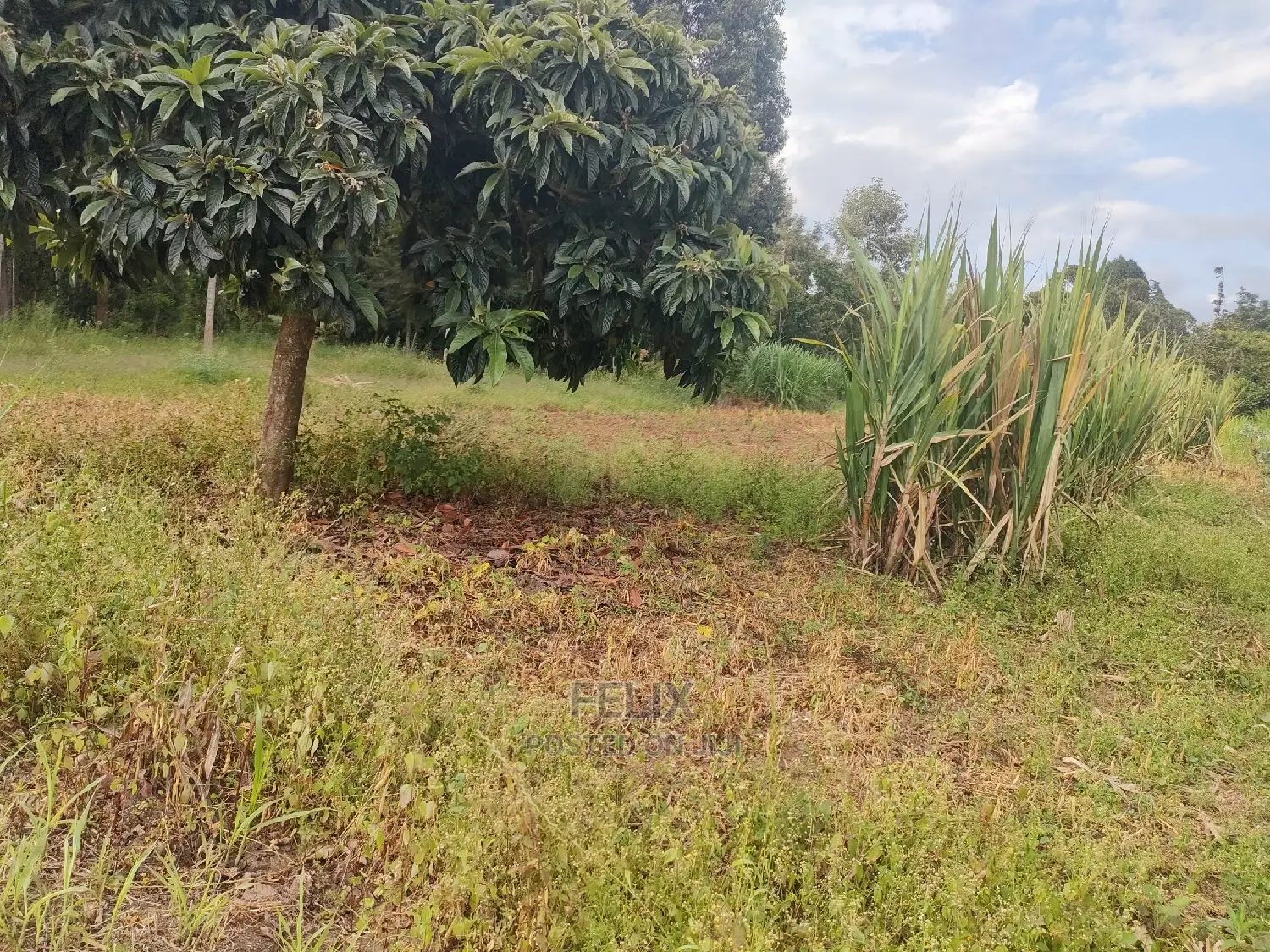 Chaka Mbiriri/2acres