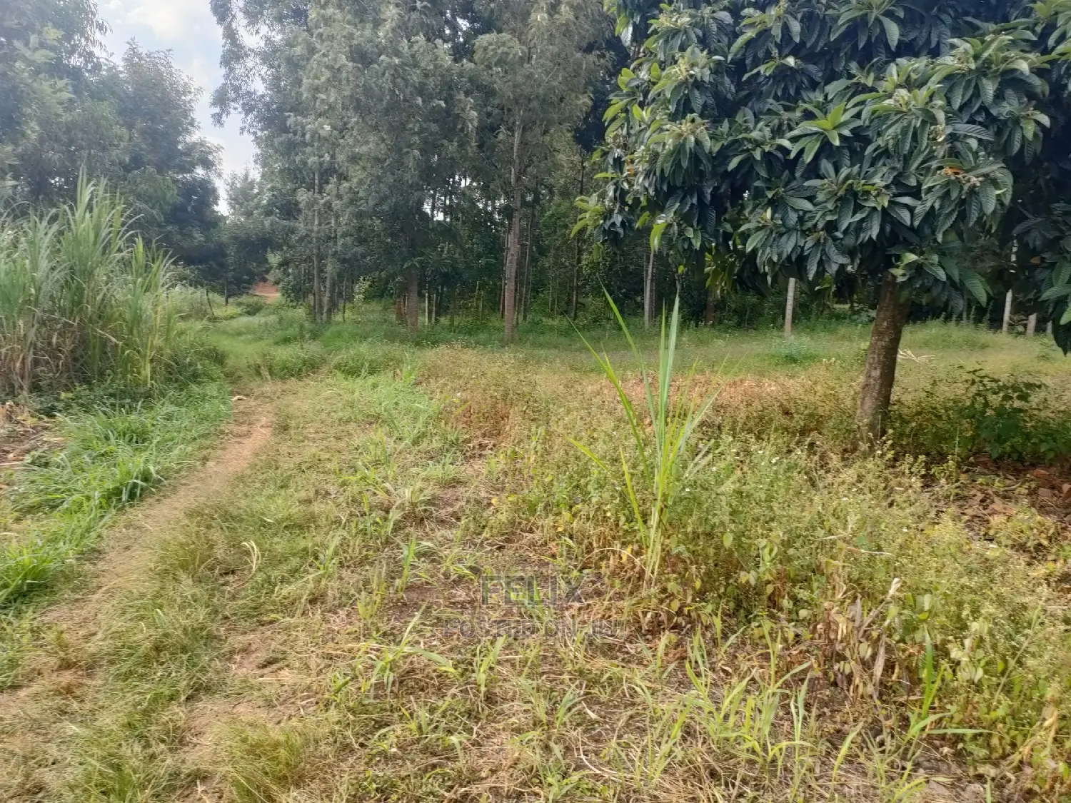 Chaka Mbiriri/2acres