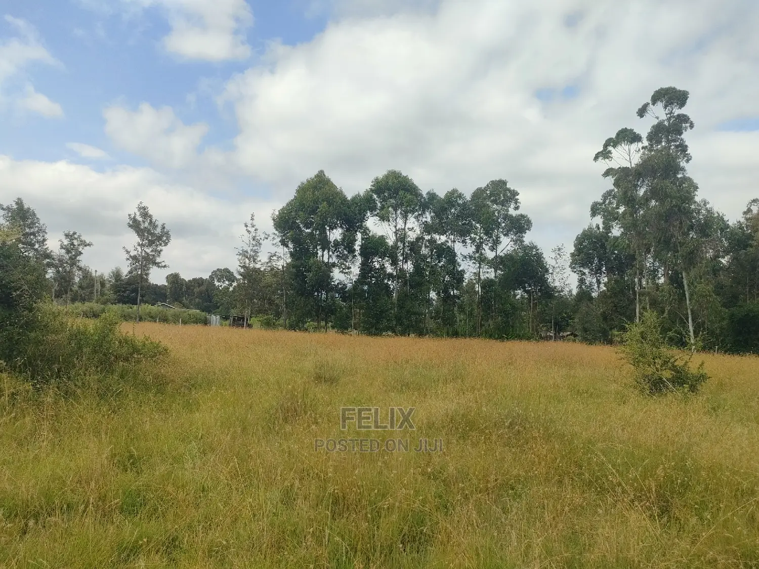 Karatina Hiriga 1acre.