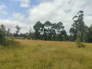 Karatina Hiriga 1acre.